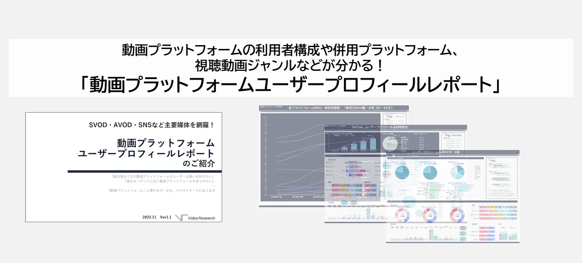 動画プラットフォームユーザープロフィールレポート