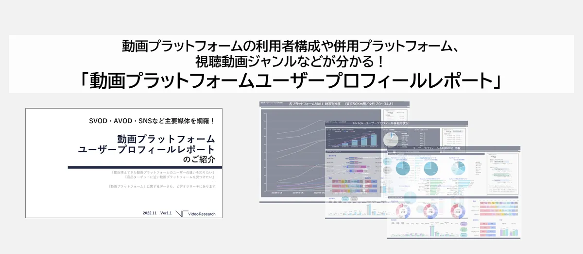 動画プラットフォームユーザープロフィールレポート
