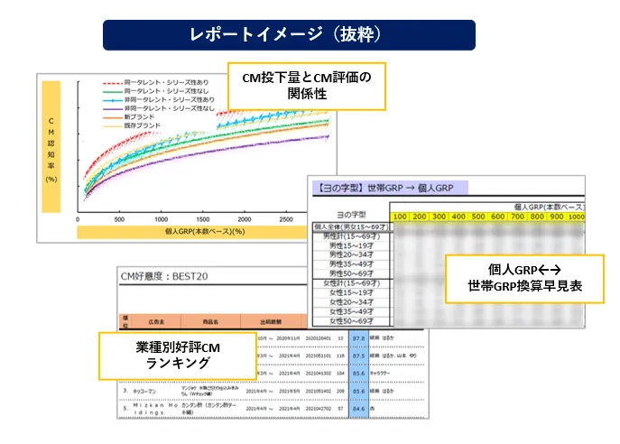 レポートイメージ抜粋