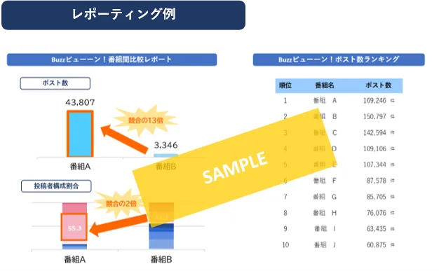 レポーティング例