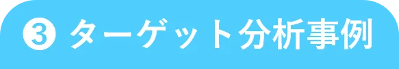 3.ターゲット分析事例