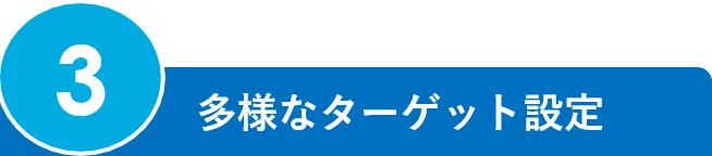 3.多様なターゲット設定